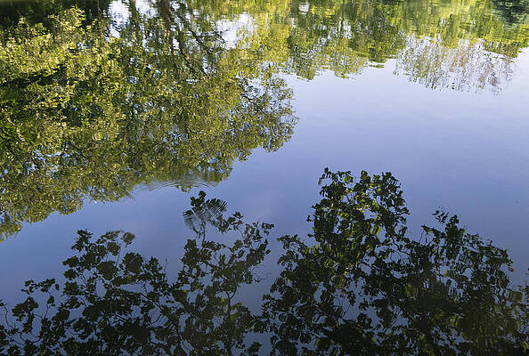 Reflection II by James Oppenheim Reflection II by James Oppenheim