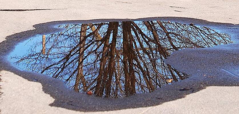 Reflection by Lisa Kane Reflection by Lisa Kane