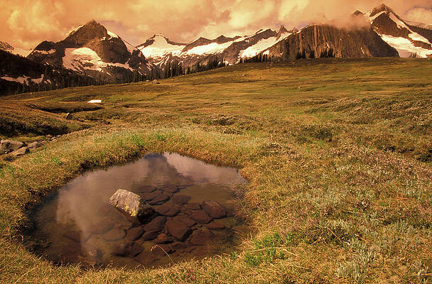 Wall Art - Photograph - Reflection Of Adamants In Meadow Pool by Chris Pinchbeck