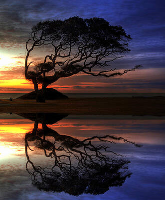 Reflection of Troubled Times by Greg and Chrystal Mimbs Reflection of Troubled Times by Greg and Chrystal Mimbs