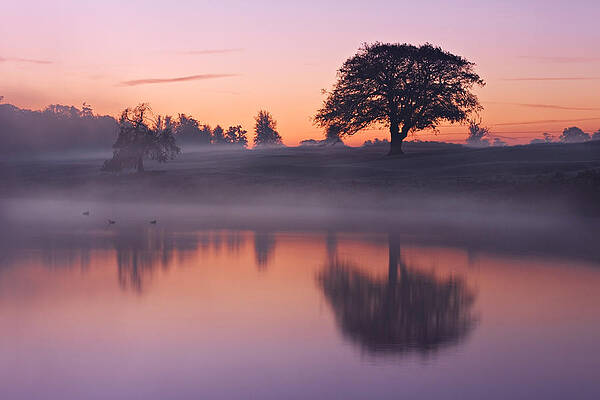 Reflections in a Lake at Dawn / Maynooth by Barry O Carroll Reflections in a Lake at Dawn / Maynooth by Barry O Carroll