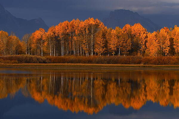 Wall Art - Photograph - Last Sentinels by David Andersen