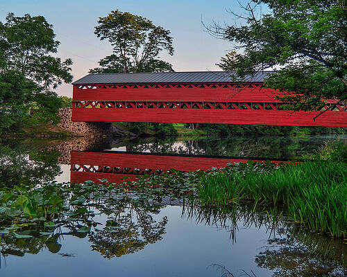 Wall Art - Photograph - Reflections in the lily pads by Dave Sandt