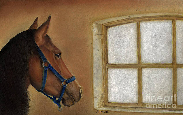 Reflections of Days Gone By by Sheryl Unwin Reflections of Days Gone By by Sheryl Unwin