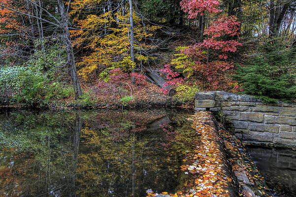 Reflections of Fall by David Dufresne Reflections of Fall by David Dufresne
