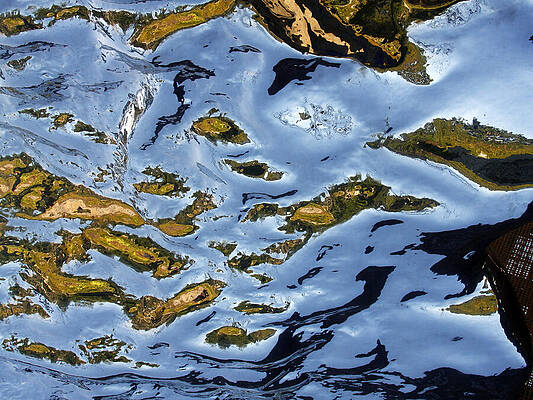 Wall Art - Photograph - Reflections on Artificial Rock I by Rick Locke - Out of the Corner of My Eye