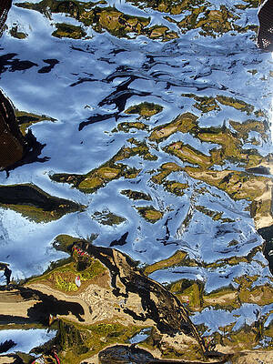 Wall Art - Photograph - Reflections on Artificial Rock II by Rick Locke - Out of the Corner of My Eye