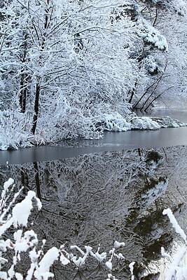Reflections by Suzanne McClain Reflections by Suzanne McClain