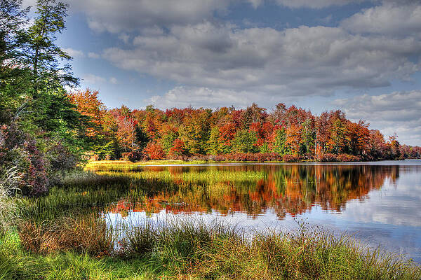 Reflective Autumn by David Simons