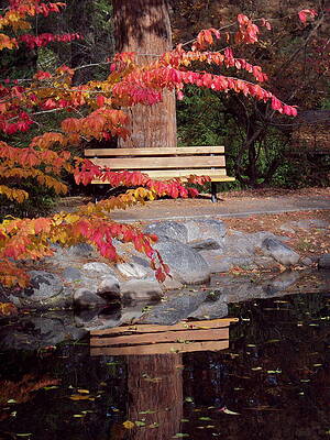 Reflective Thoughts of Autumn  by Cynthia Singleton