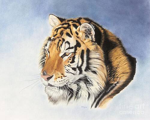 Regal One by Rosellen Westerhoff Regal One by Rosellen Westerhoff