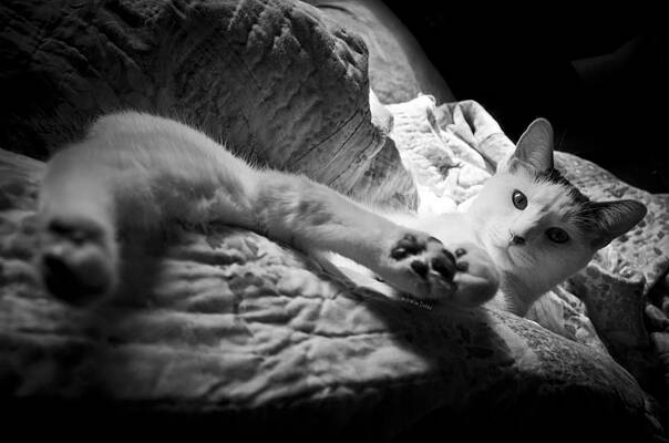 Relaxin' in Style by Jessica Dobbs