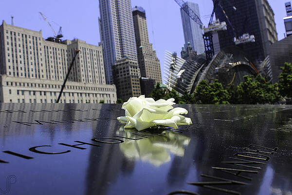 Remember by Jeremy Perlman