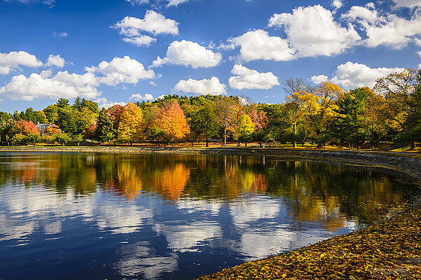 Reservoir in Autumn by Robert Mitchell Reservoir in Autumn by Robert Mitchell