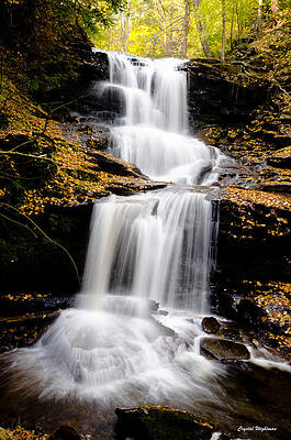 Wall Art - Photograph - Ricketts Glen three tiered waterfall by Crystal Wightman