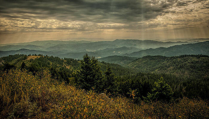Ridge View-The Face Trail by John Drew