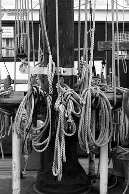 Rigging on a tall ship - monochrome by Ulrich Kunst And Bettina Scheidulin Rigging on a tall ship - monochrome by Ulrich Kunst And Bettina Scheidulin