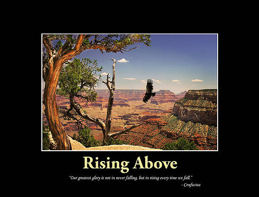 Rise Above it by My Inspiration