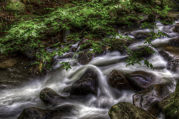 River On the Rocks II by Harry B Brown River On the Rocks II by Harry B Brown