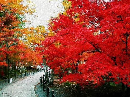 Road by the Red Tree by Bruce Nutting Road by the Red Tree by Bruce Nutting