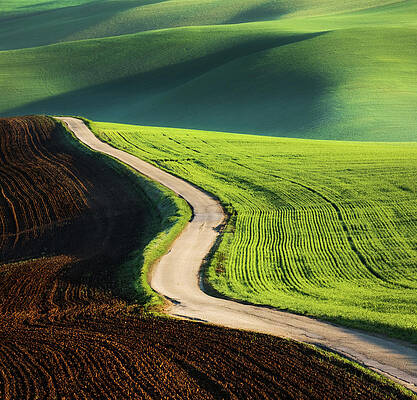 Wall Art - Photograph - Road by Krzysztof Browko