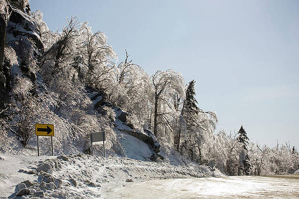 Wall Art - Photograph - Road Signs And Trees Covered In Ice by Corey Hendrickson