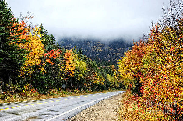 Road To The Clouds by David Birchall