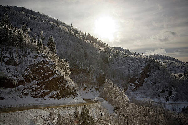Wall Art - Photograph - Roadway And Trees Covered In Ice by Corey Hendrickson