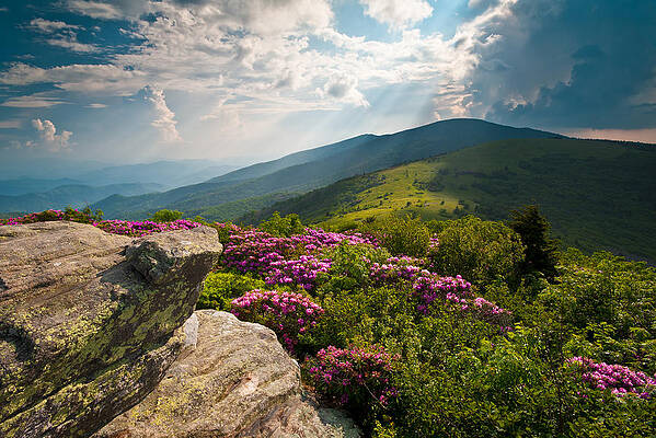 Wall Art - Photograph - Roan Mountain from Appalachian Trail near Jane's Bald by Dave Allen