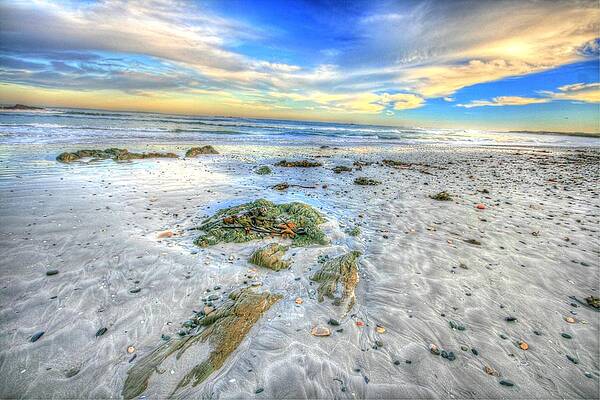 Robben island by DAVID VALENTYNE