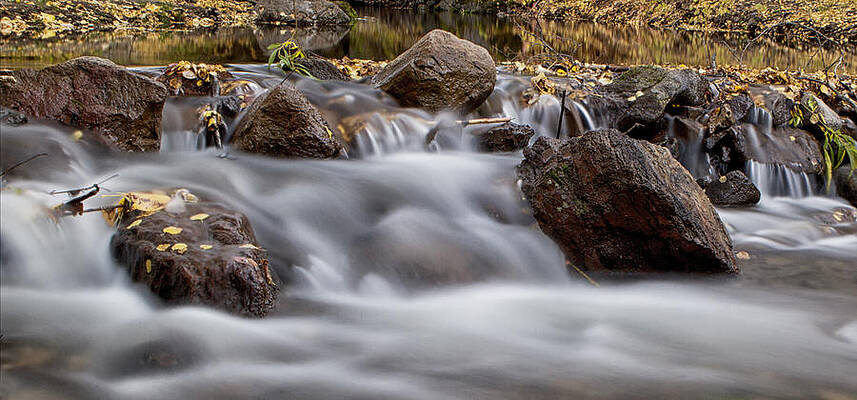Rock Creek Stream by Skye Fassett