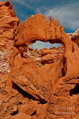 Wall Art - Photograph - Rock Formations, Bowl Of Fire, Nevada by Mark Newman