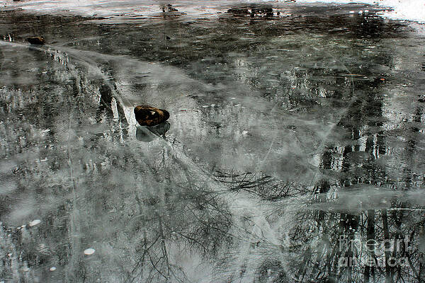Rock on Ice by Stan Reckard Rock on Ice by Stan Reckard