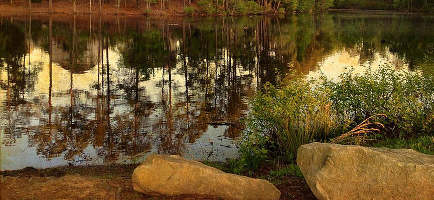 Rock Pond by Jeffrey Roth