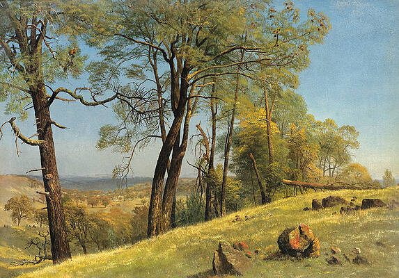 Rockland County. California Print by Albert Bierstadt