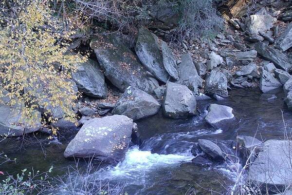 Rocks in a Stream  by Deanna Sherrill