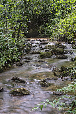 Rocks in the Stream by Louise St Romain Rocks in the Stream by Louise St Romain