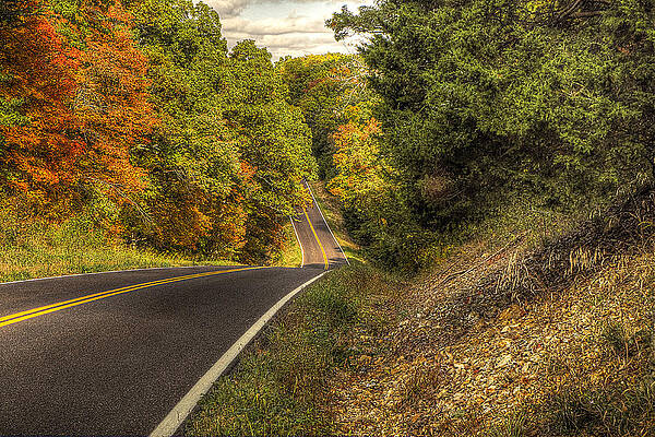 Wall Art - Photograph - Rolling Along Through the Gold by William Fields