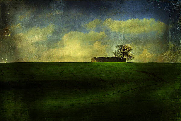 Rome SHEEPFOLD Via Ardeatina by Stefano Sabene
