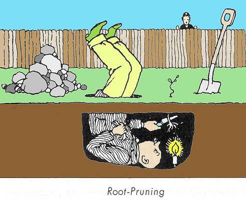 Wall Art - Photograph - Root Pruning By W. Heath Robinson By W. Heath Robinson by Science Photo Library