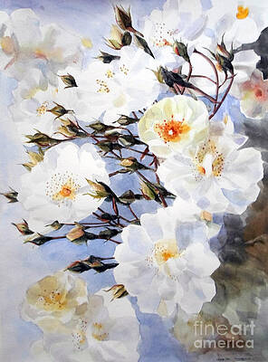 Watercolor of White Roses on a Branch Steering Towards the Light by Greta Corens Watercolor of White Roses on a Branch Steering Towards the Light by Greta Corens