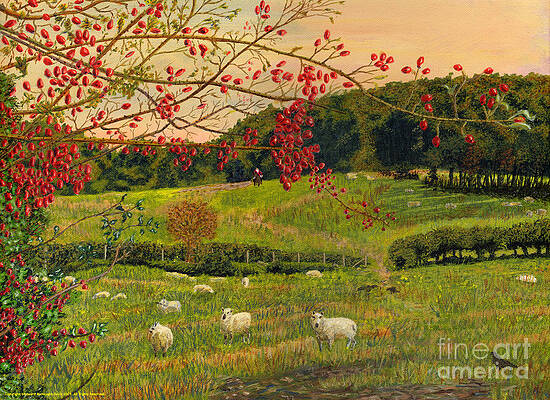 Rosehips Welsh Landscape Art by Edward McNaught-Davis Rosehips Welsh Landscape Art by Edward McNaught-Davis