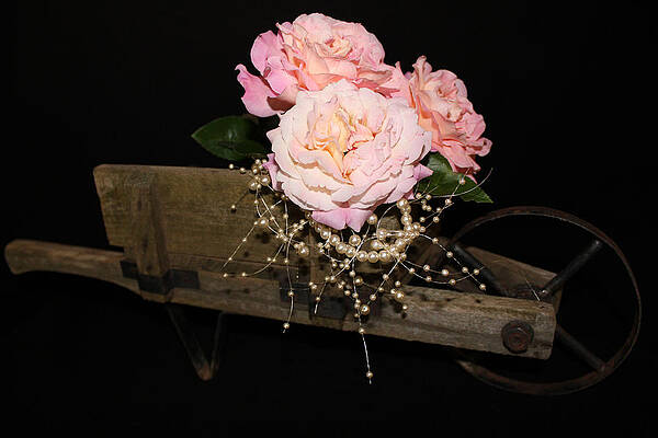 Roses and Pearls by Tammy Garner