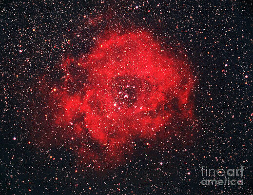 Wall Art - Photograph - Rosette Nebula by Chris Cook