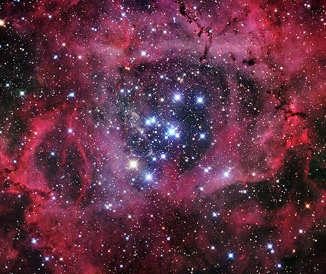 Wall Art - Photograph - Rosette Nebula (ngc 2244) by Science Photo Library