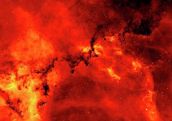 Wall Art - Photograph - Rosette Nebula by Science Photo Library