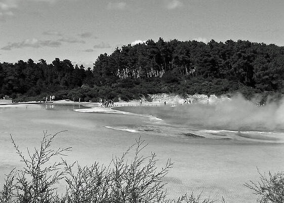Rotorua New Zealand 3 BW by Mariusz Kula Rotorua New Zealand 3 BW by Mariusz Kula