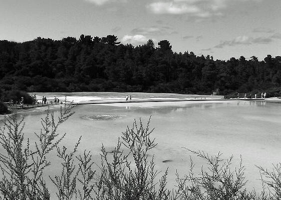 Rotorua New Zealand 4 BW by Mariusz Kula Rotorua New Zealand 4 BW by Mariusz Kula