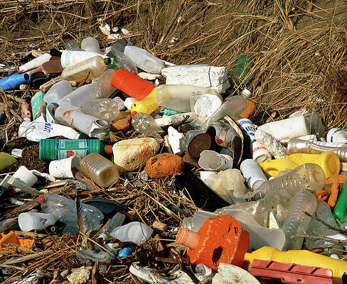 Wall Art - Photograph - Rubbish At The High Tide Mark On The Seashore by Science Photo Library