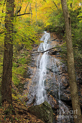 Wall Art - Photograph - Rufus Morgan Falls in North Carolina by Jill Lang